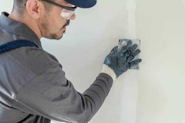 Mold Odor Removal Services in Port Morris, NJ